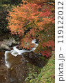紅葉と清流 119122012