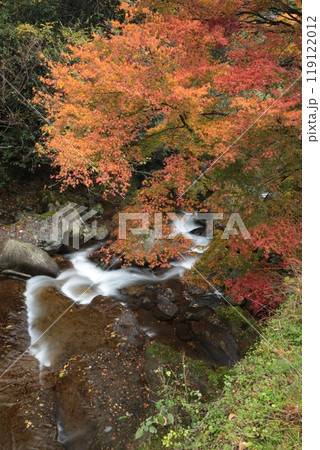 紅葉と清流 119122012