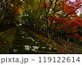 紅葉と階段 119122614