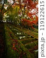 紅葉と階段 119122615
