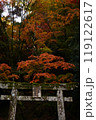 鳥居と紅葉 119122617