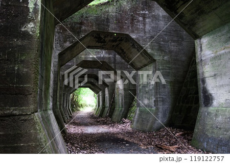 森の中に潜む八角トンネル 森の中に潜む八角トンネル 119122757