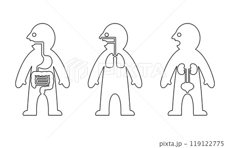 人体内臓線画 119122775