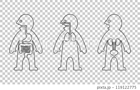 人体内臓線画 119122775