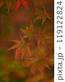 紅葉 119122824