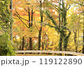 黄葉の林 119122890