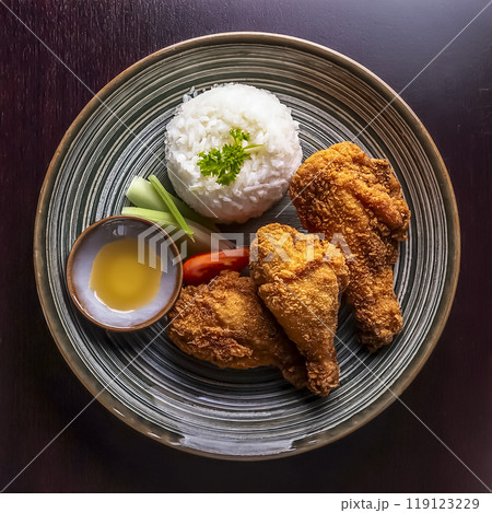 高級鶏のから揚げのイメージ素材 高級鶏のから揚げのイメージ素材 119123229