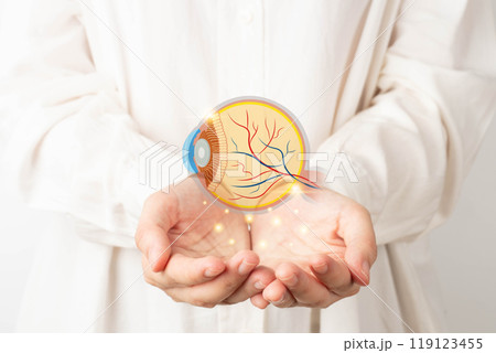 Human eye anatomy hologram on doctor hands. Awareness of eye diseases include age-related macular degeneration, cataract, diabetic retinopathy, and glaucoma. Digital vision eye care concept. 119123455