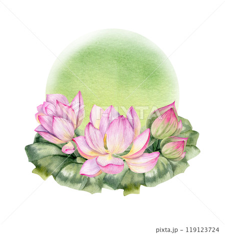 Japanese water lily lotus flower with green leaves on watercolor green splash illustration. Hand drawn floral composition, botany clipart for poster, logo design. Zen and Buddhism symbol Japanese water lily lotus flower with green leaves on watercolor green splash illustration. Hand drawn floral composition, botany clipart for poster, logo design. Zen and Buddhism symbol 119123724
