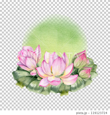 Japanese water lily lotus flower with green leaves on watercolor green splash illustration. Hand drawn floral composition, botany clipart for poster, logo design. Zen and Buddhism symbol Japanese water lily lotus flower with green leaves on watercolor green splash illustration. Hand drawn floral composition, botany clipart for poster, logo design. Zen and Buddhism symbol 119123724