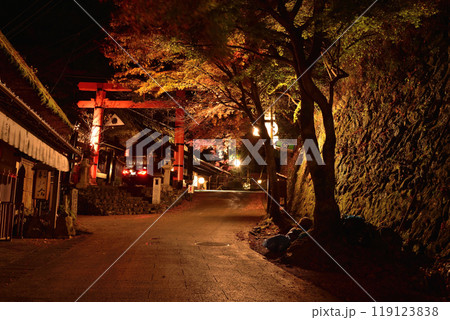 京都・嵯峨野鳥居本の夜景 119123838