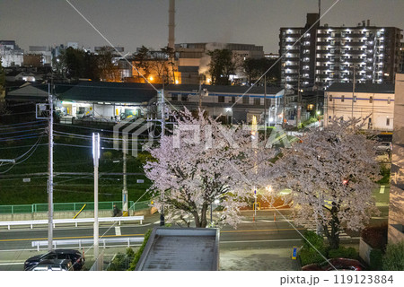 満開の夜桜と住宅地の景色 119123884