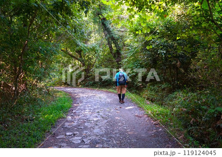 宝登山 山頂 奥宮 登山 道標 寳登山神社 宝登山神社 宝登山 山頂 奥宮 登山 道標 寳登山神社 宝登山神社 119124045