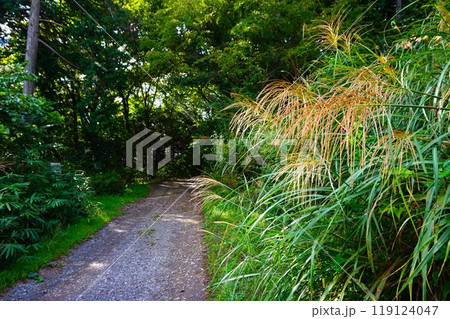 宝登山　山頂　奥宮　登山　道標　寳登山神社　宝登山神社　 119124047