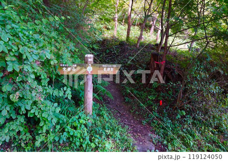宝登山 山頂 奥宮 登山 道標 寳登山神社 宝登山神社 宝登山 山頂 奥宮 登山 道標 寳登山神社 宝登山神社 119124050