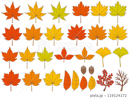 紅葉をイメージした落ち葉や木の実のイラストのセット_主線あり 紅葉をイメージした落ち葉や木の実のイラストのセット_主線あり 119124172