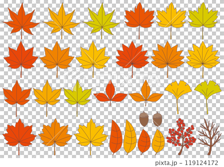 紅葉をイメージした落ち葉や木の実のイラストのセット_主線あり 紅葉をイメージした落ち葉や木の実のイラストのセット_主線あり 119124172