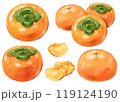 柿のセットイラスト 119124190