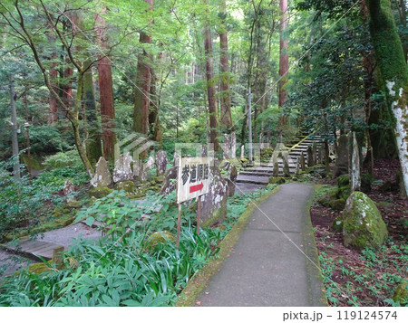 曹洞宗 大雄山最乗寺(神奈川県南足柄市大雄町) 曹洞宗 大雄山最乗寺(神奈川県南足柄市大雄町) 119124574