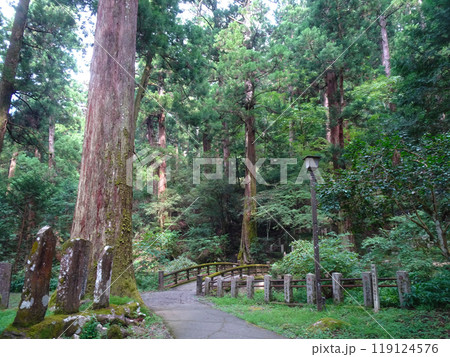 曹洞宗 大雄山最乗寺（神奈川県南足柄市大雄町） 119124576