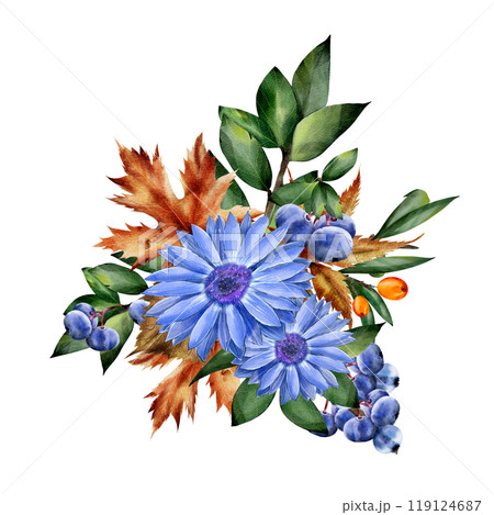 Watercolor floral autumn illustration of blue chrysanthemum, chamomile, blueberry and green twigs on an isolated background. Square composition for design, stickers, textiles 119124687