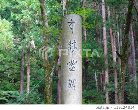 曹洞宗 大雄山最乗寺(神奈川県南足柄市大雄町)神鳶之碑 曹洞宗 大雄山最乗寺(神奈川県南足柄市大雄町)神鳶之碑 119124814