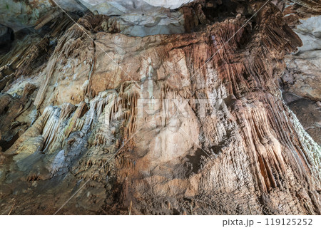 特別天然記念物 秋芳洞　山口県美祢市 119125252