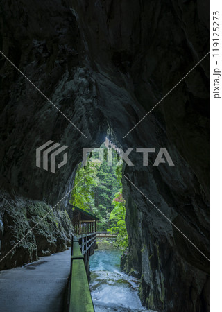 特別天然記念物 秋芳洞　山口県美祢市 119125273