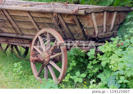 Wooden wheel. Vintage wooden cart. Traditional country vehicle in nature background. 119125807