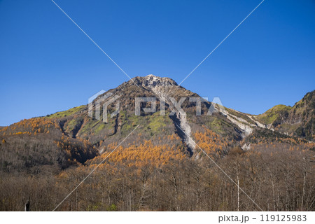 上高地 紅葉した焼岳　長野県松本市安曇中部山岳国立公園 119125983