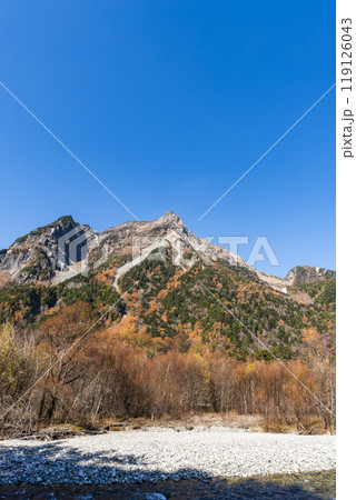上高地 紅葉した明神岳 長野県松本市安曇中部山岳国立公園 上高地 紅葉した明神岳 長野県松本市安曇中部山岳国立公園 119126043