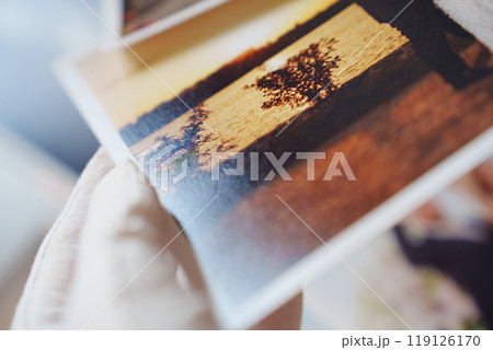 Beautiful printed wedding photos. narrow depth of field. photo paper texture Beautiful printed wedding photos. narrow depth of field. photo paper texture 119126170