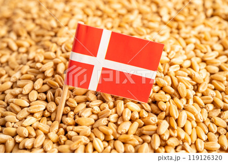 Grains wheat with Switzerland flag, trade export and economy. 119126320