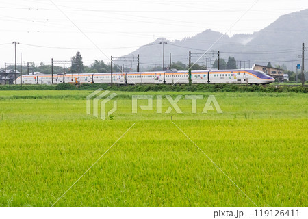 【山形線】雨の田園風景を走行するミニ新幹線 【山形線】雨の田園風景を走行するミニ新幹線 119126411