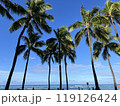 ワイキキの朝のヤシの木と青空 119126424