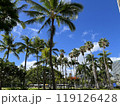 ワイキキの青空とヤシの木 119126428