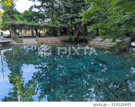 別府弁天池 119126485