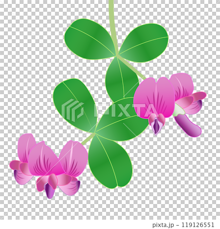 萩の花のイラスト 119126551