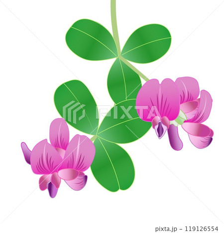 萩の花のイラスト 119126554