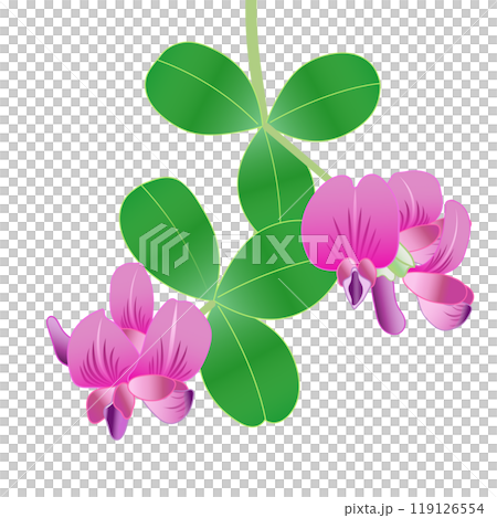 萩の花のイラスト 119126554