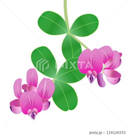 萩の花のイラスト 119126555