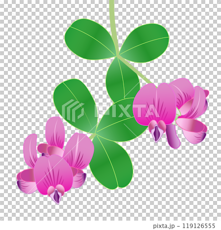 萩の花のイラスト 119126555