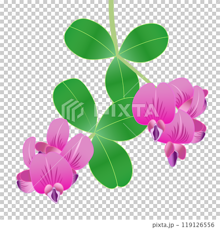 萩の花のイラスト 119126556