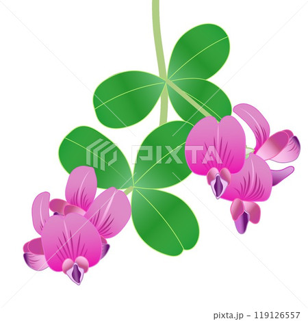 萩の花のイラスト 119126557