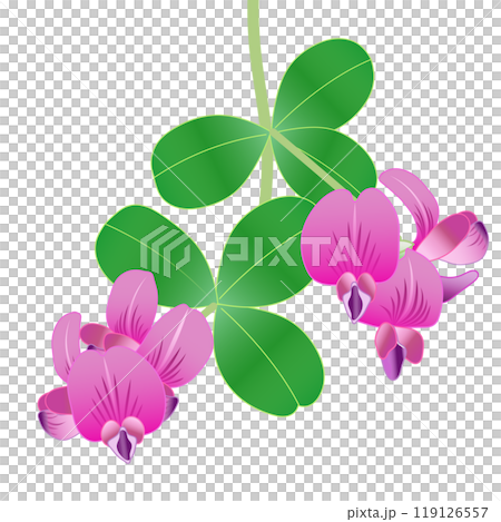 萩の花のイラスト 119126557