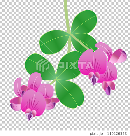 萩の花のイラスト 119126558