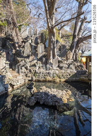 成田山新勝寺 仁王池 千葉県成田市成田 成田山新勝寺 仁王池 千葉県成田市成田 119126586