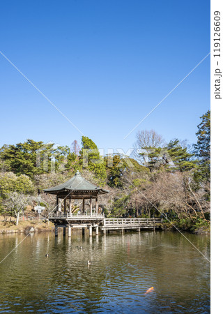 成田山公園 龍智池の浮御堂　千葉県成田市成田 119126609