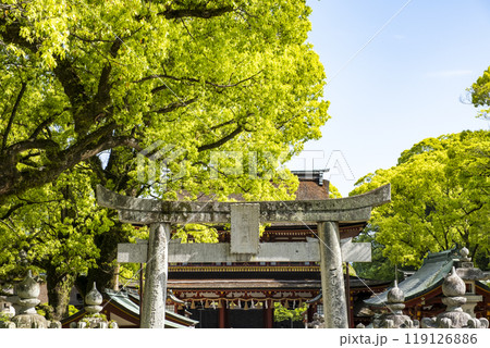 太宰府天満宮 五ノ鳥居 福岡県太宰府市宰府 太宰府天満宮 五ノ鳥居 福岡県太宰府市宰府 119126886