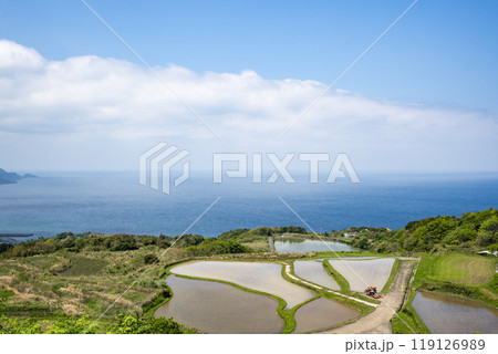 東後畑棚田　山口県長門市 119126989